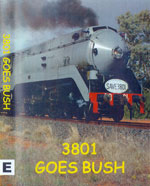 3801 Goes Bush