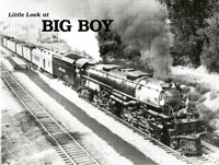 Little Look at Big Boy