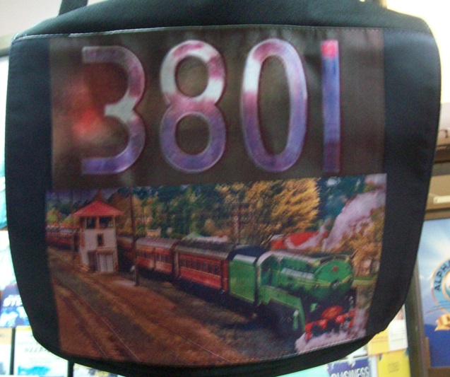 3801 AT MOSS VALE LARGE SHOULDER BAG