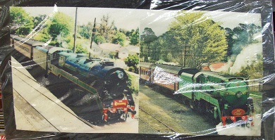 3801 & 3830 BAR RUNNER/WORK MAT (C)