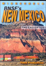 BNSFs NEW MEXICO MAIN LINE THE GALLUP SUB