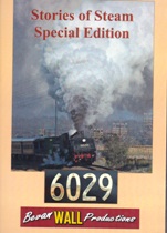 6029