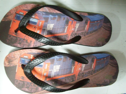 V/LINE N451 TRAIN THONGS